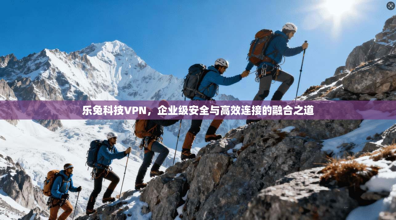 乐兔科技VPN，企业级安全与高效连接的融合之道