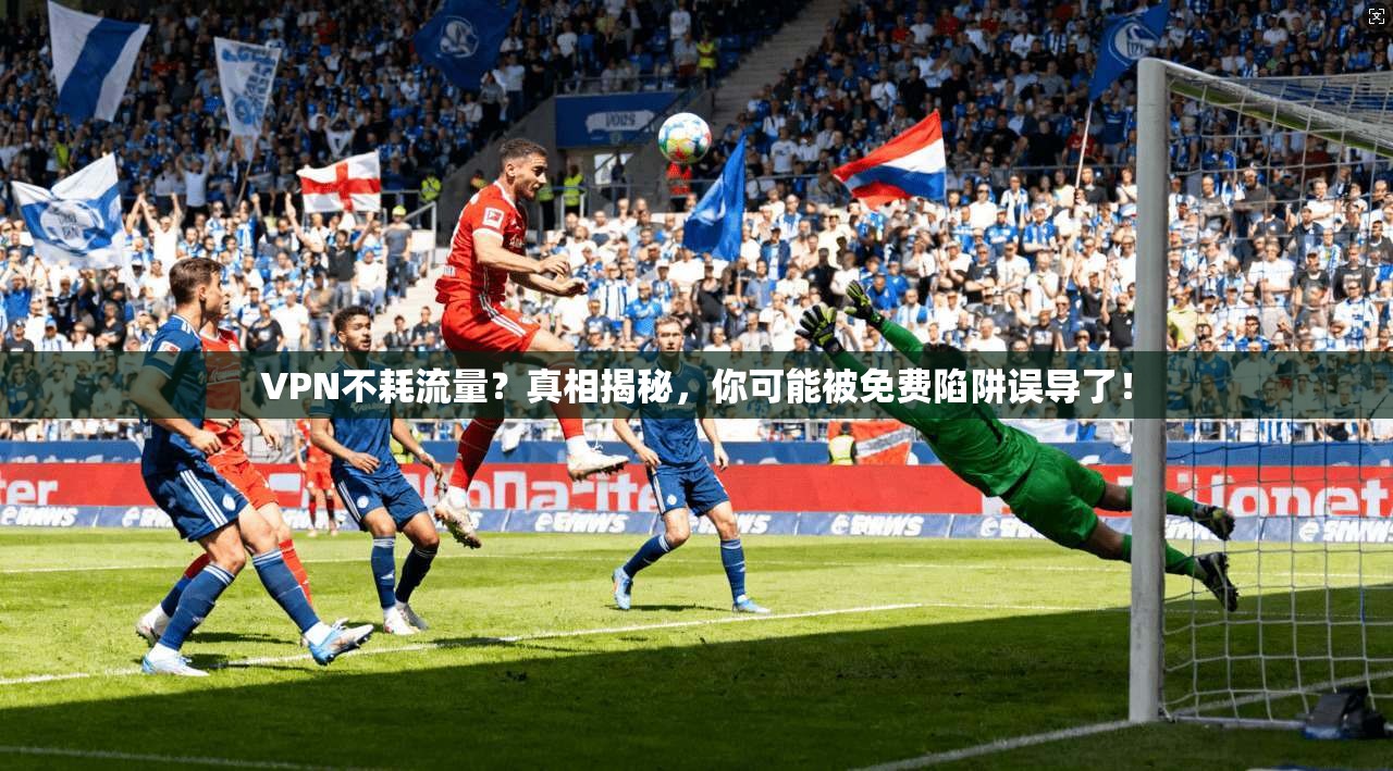 VPN不耗流量?真相揭秘,你可能被免费陷阱误导了!