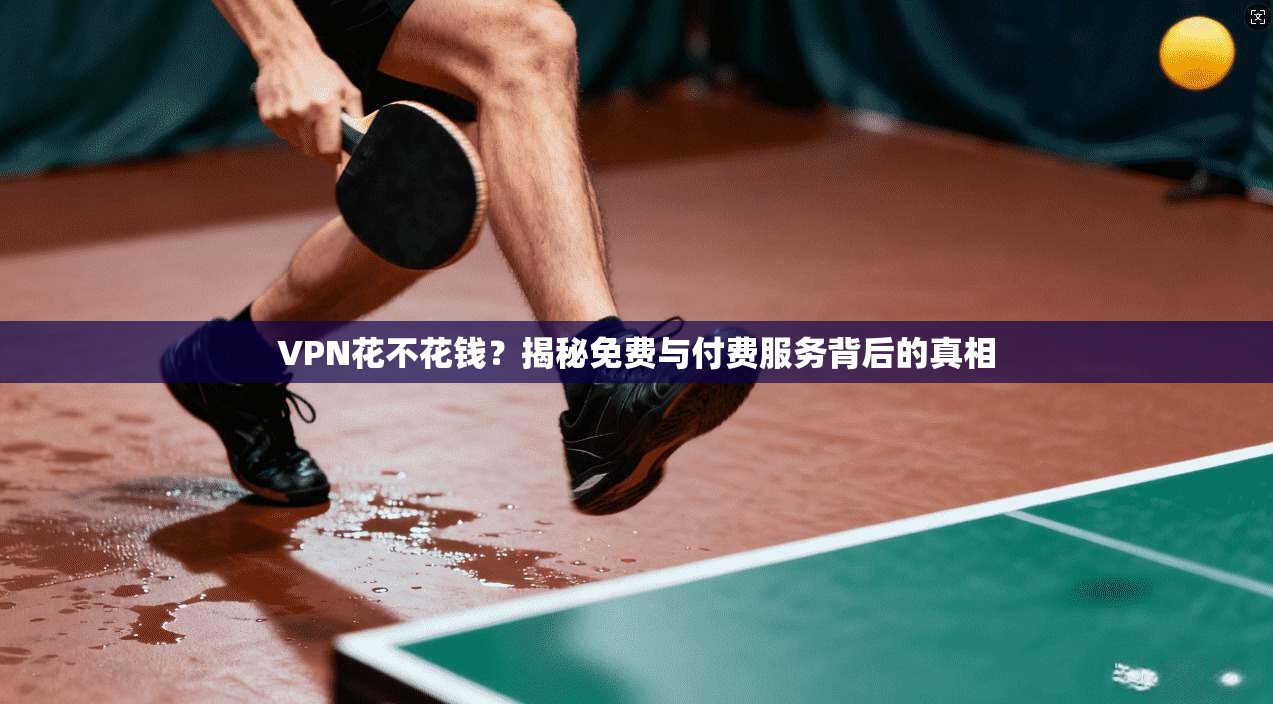 VPN花不花钱?揭秘免费与付费服务背后的真相 第1张 VPN花不花钱?揭秘免费与付费服务背后的真相 第1张
