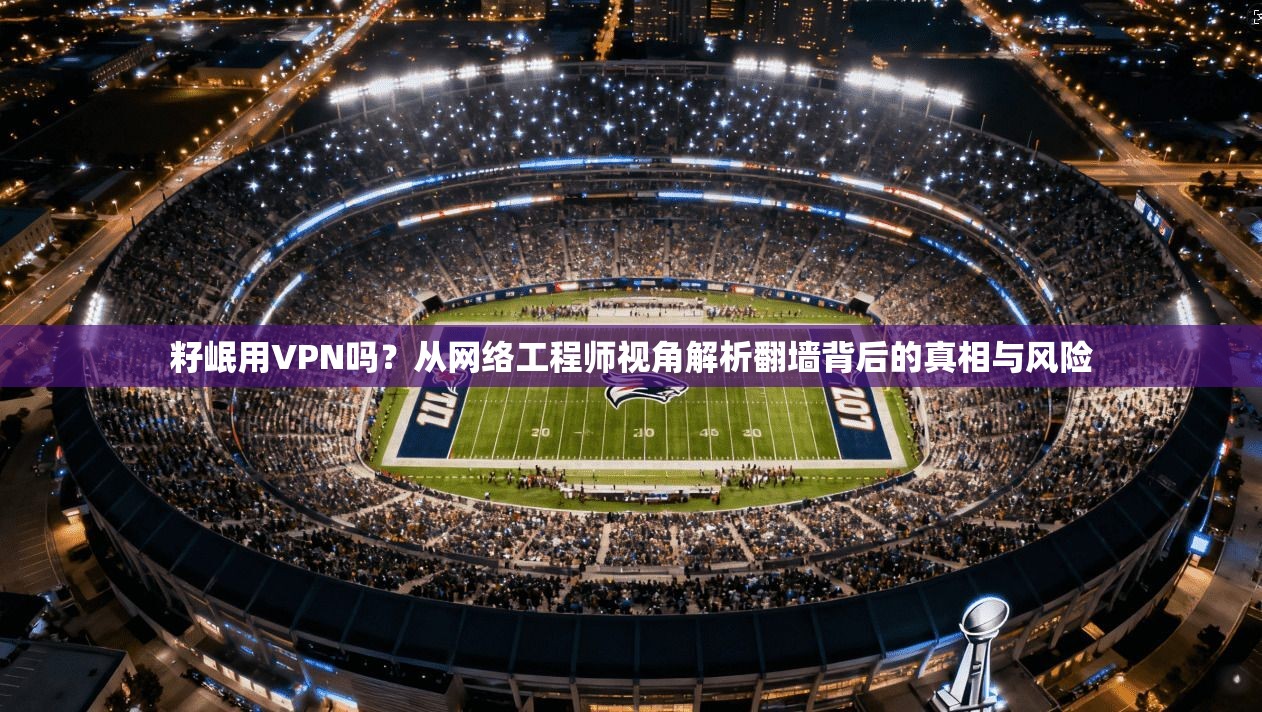 籽岷用VPN吗？从网络工程师视角解析翻墙背后的真相与风险