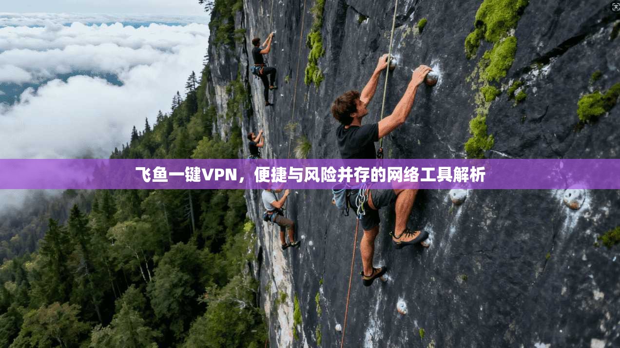 飞鱼一键VPN，便捷与风险并存的网络工具解析