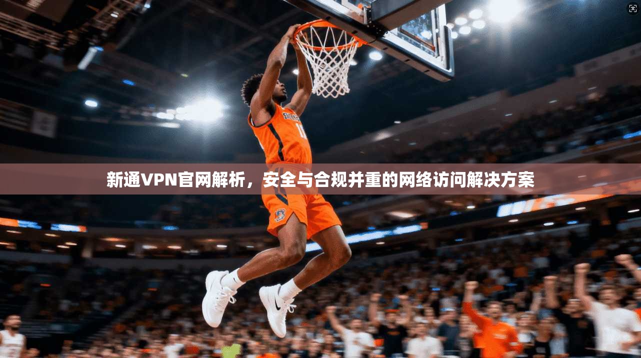 新通VPN官网解析，安全与合规并重的网络访问解决方案