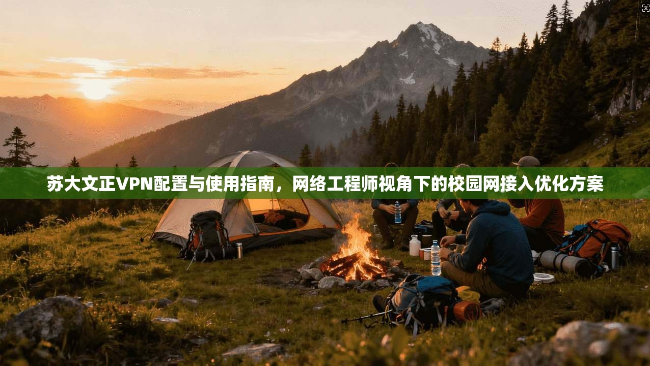 苏大文正VPN配置与使用指南,网络工程师视角下的校园网接入优化方案