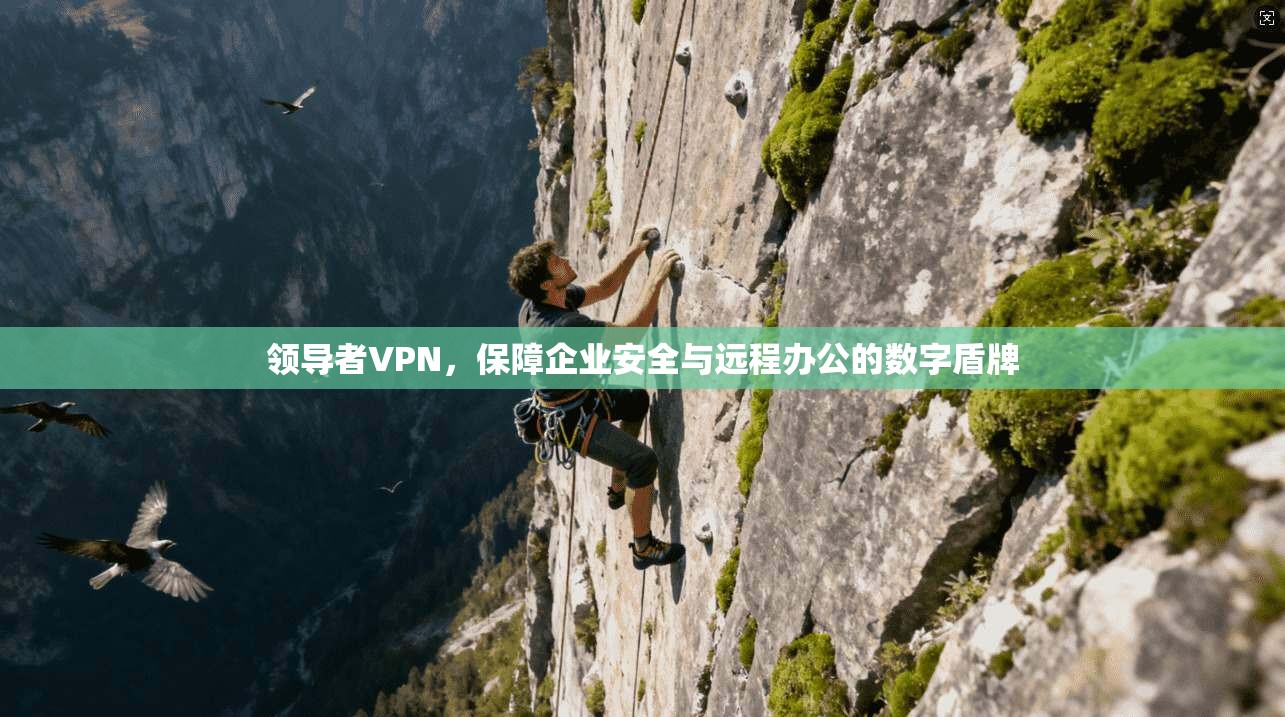 领导者VPN，保障企业安全与远程办公的数字盾牌