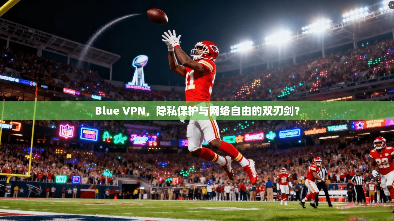 Blue VPN，隐私保护与网络自由的双刃剑？