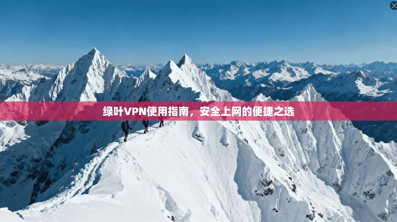 绿叶VPN使用指南，安全上网的便捷之选