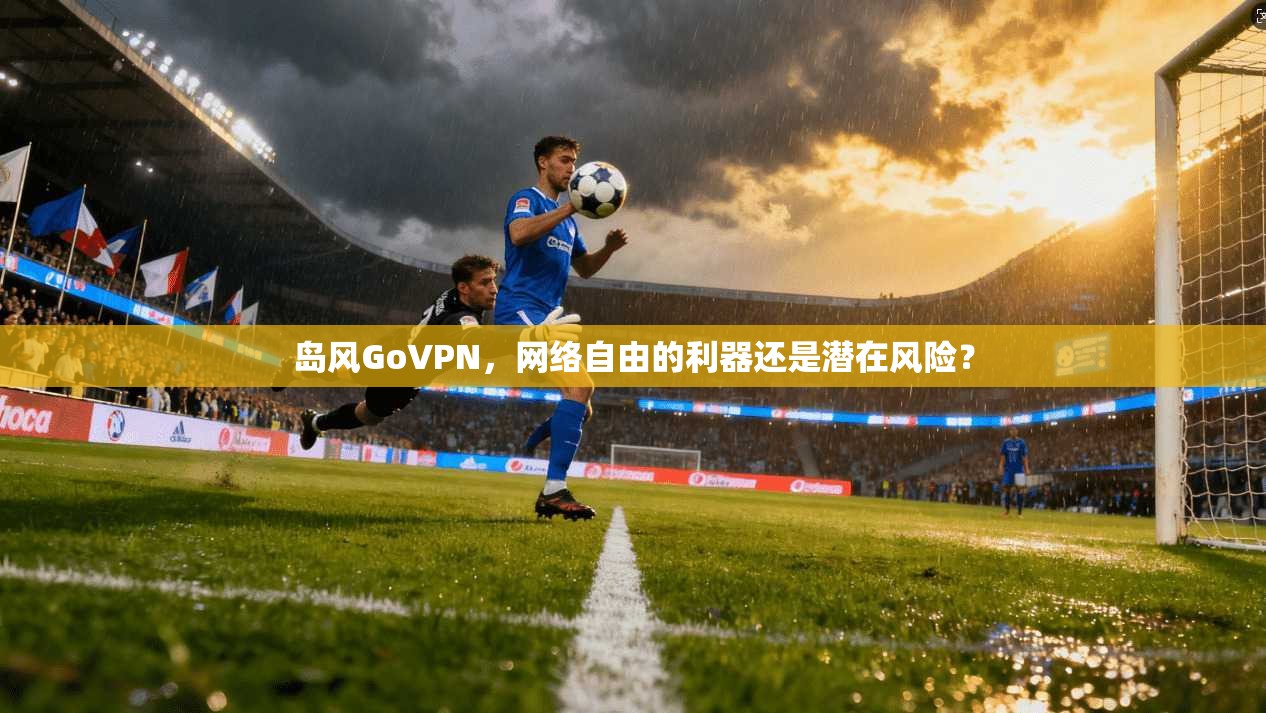 岛风GoVPN，网络自由的利器还是潜在风险？