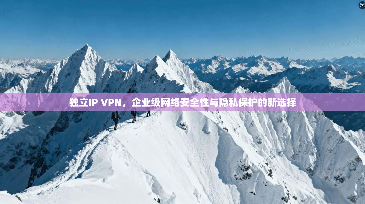 独立IP VPN，企业级网络安全性与隐私保护的新选择