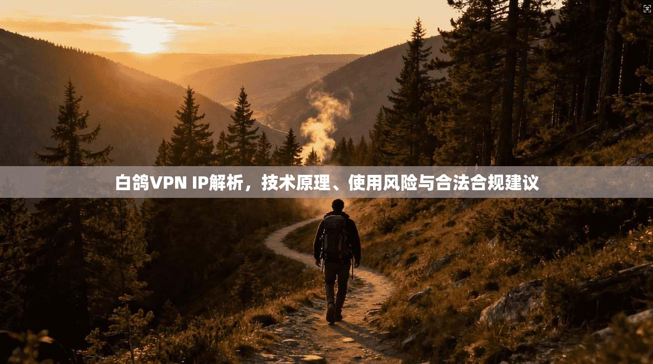 白鸽VPN IP解析，技术原理、使用风险与合法合规建议