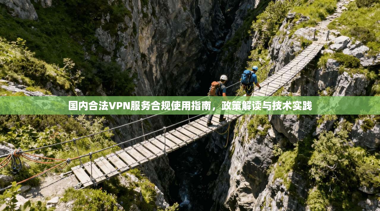 国内合法VPN服务合规使用指南，政策解读与技术实践