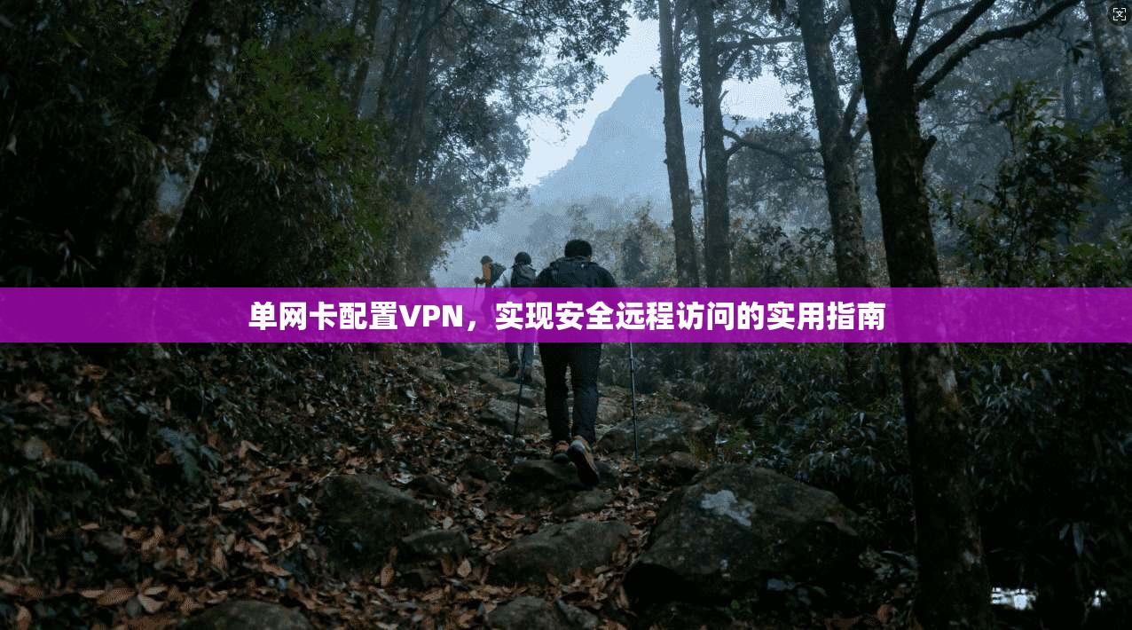 单网卡配置VPN，实现安全远程访问的实用指南
