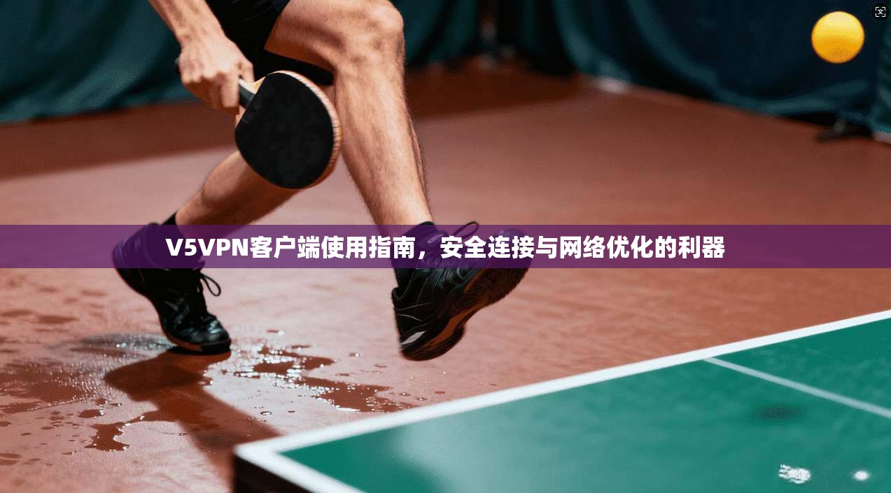 V5VPN客户端使用指南，安全连接与网络优化的利器
