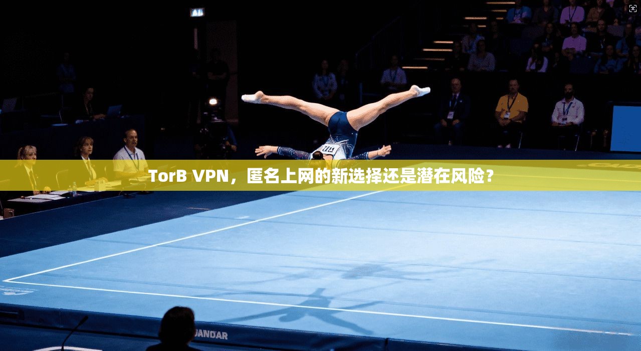 TorB VPN，匿名上网的新选择还是潜在风险？