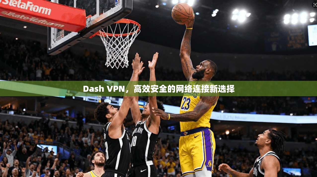 Dash VPN，高效安全的网络连接新选择