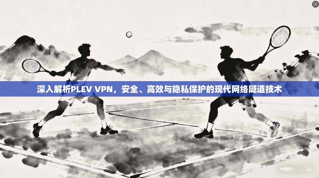 深入解析PLEV VPN，安全、高效与隐私保护的现代网络隧道技术