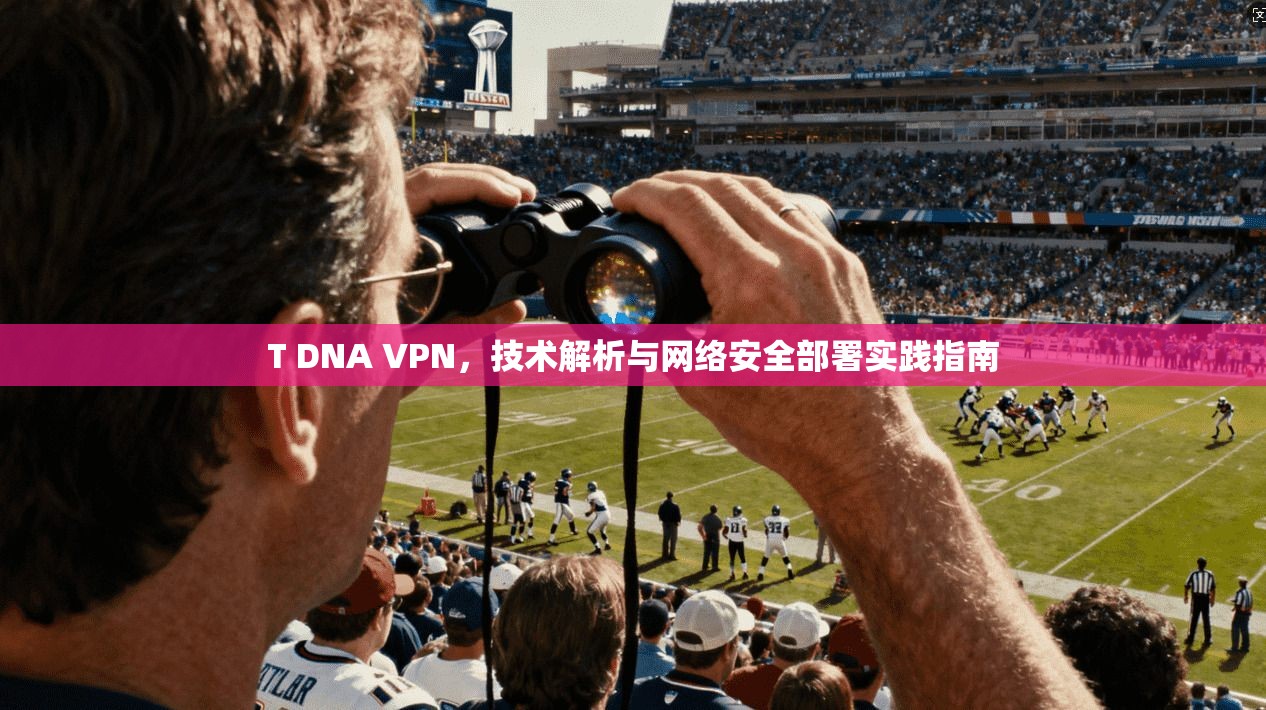 T DNA VPN，技术解析与网络安全部署实践指南