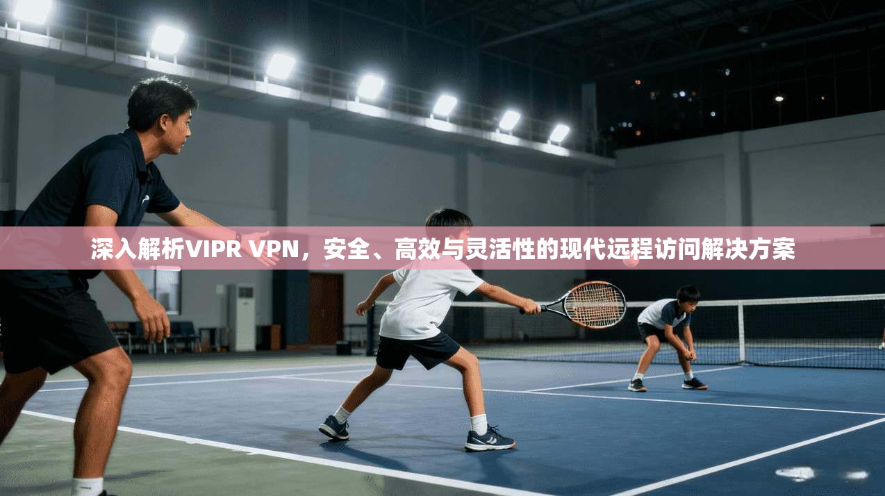 深入解析VIPR VPN，安全、高效与灵活性的现代远程访问解决方案