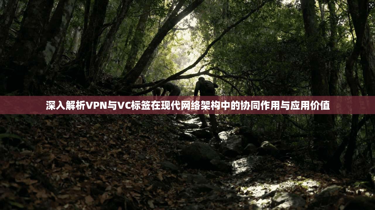 深入解析VPN与VC标签在现代网络架构中的协同作用与应用价值