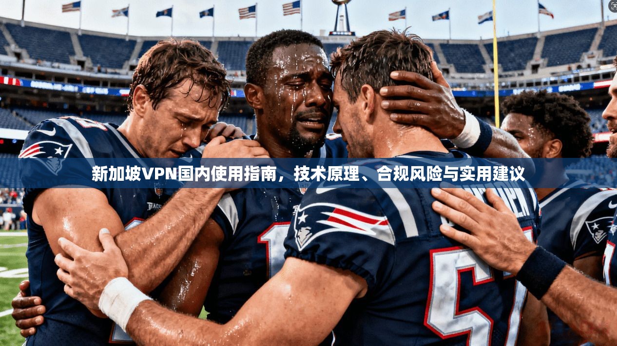 新加坡VPN国内使用指南，技术原理、合规风险与实用建议