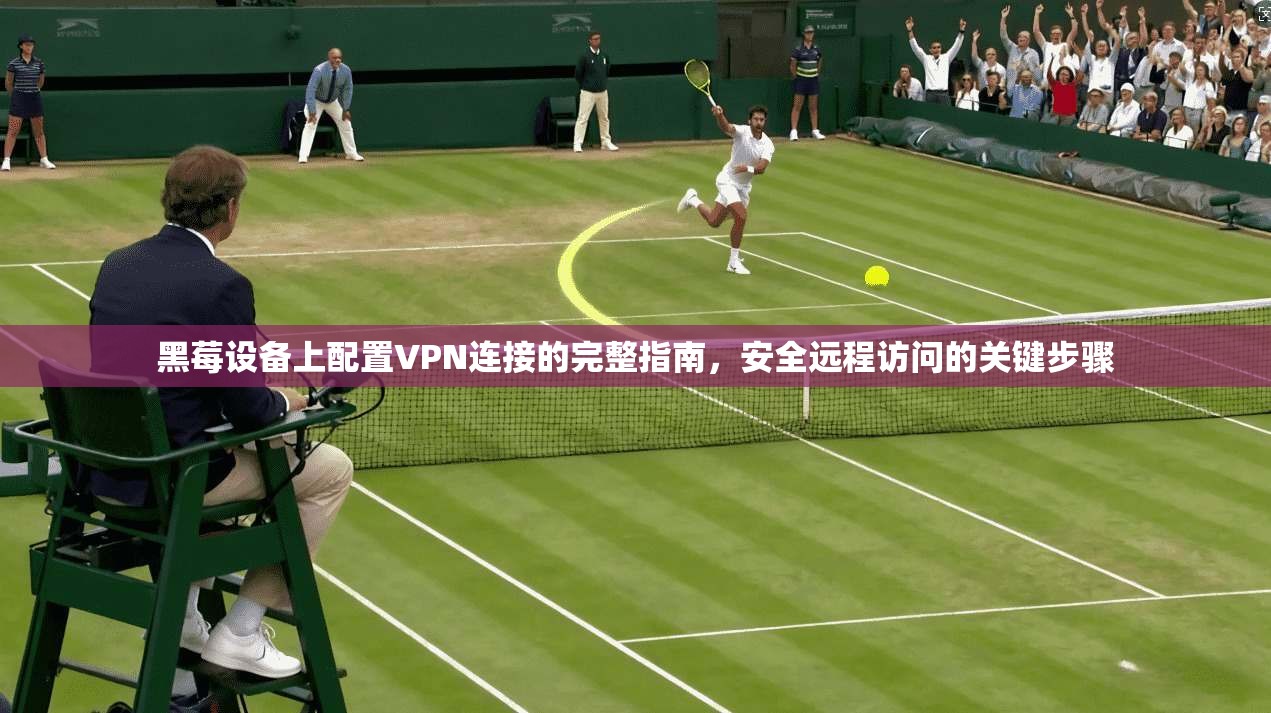 黑莓设备上配置VPN连接的完整指南,安全远程访问的关键步骤