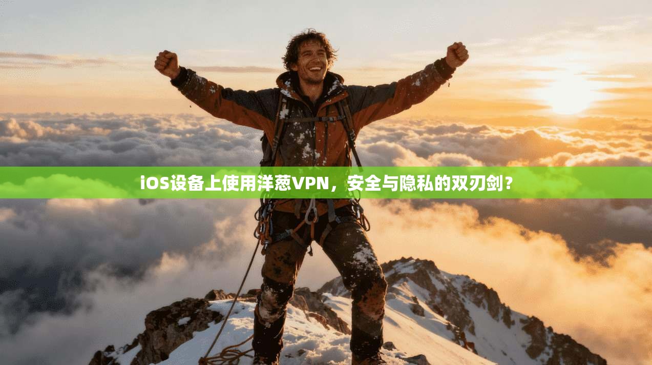 iOS设备上使用洋葱VPN,安全与隐私的双刃剑?