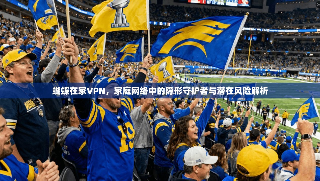 蝴蝶在家VPN，家庭网络中的隐形守护者与潜在风险解析