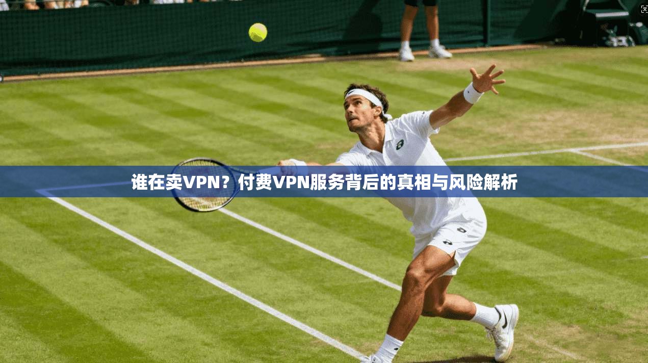谁在卖VPN？付费VPN服务背后的真相与风险解析
