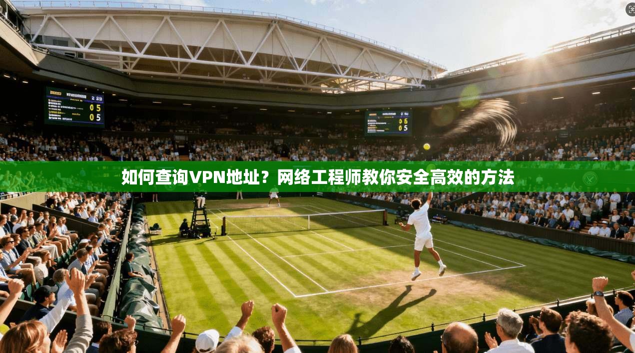 如何查询VPN地址？网络工程师教你安全高效的方法