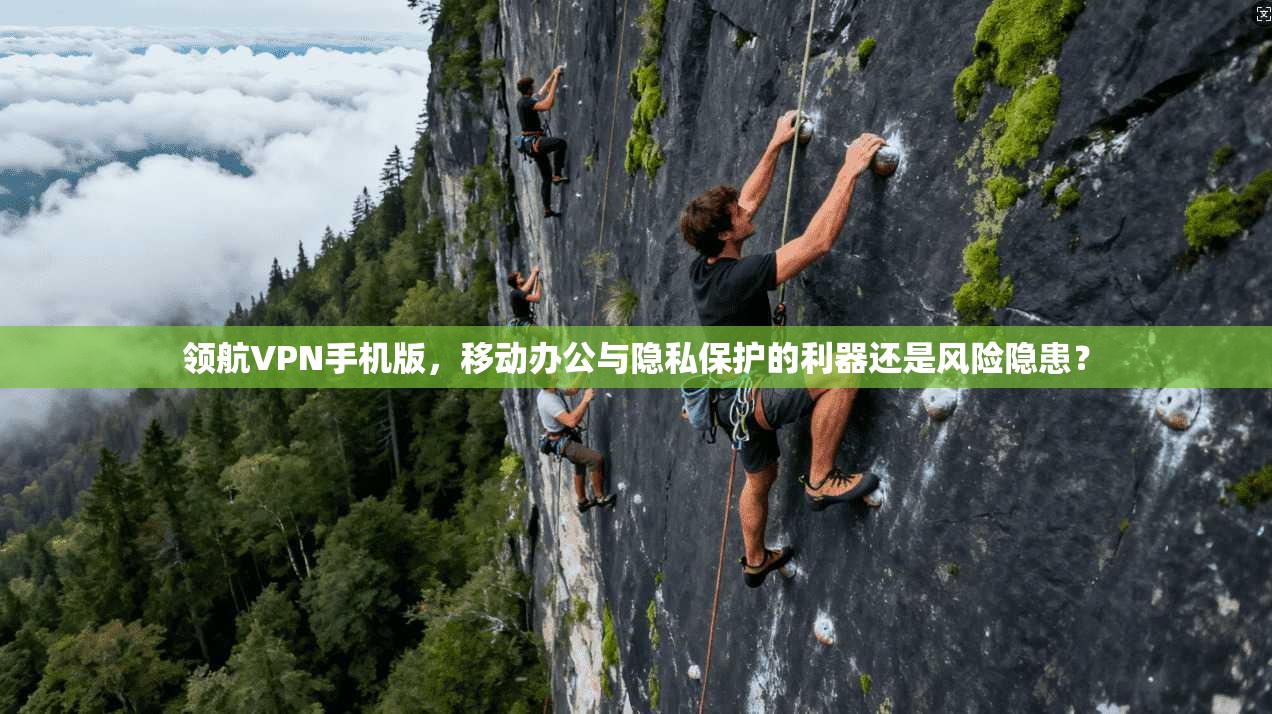 领航VPN手机版，移动办公与隐私保护的利器还是风险隐患？