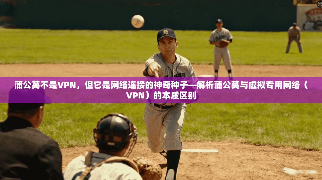 蒲公英不是VPN,但它是网络连接的神奇种子—解析蒲公英与虚拟专用网络(VPN)的本质区别