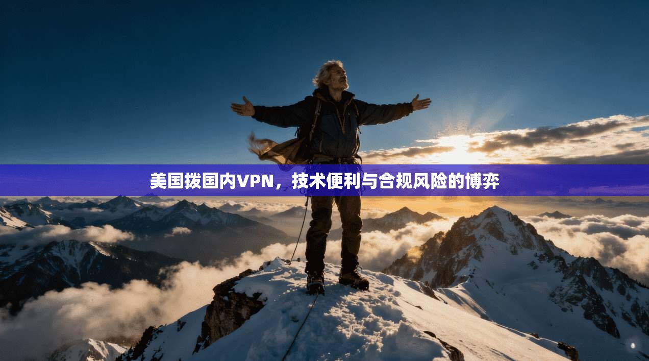 美国拨国内VPN，技术便利与合规风险的博弈