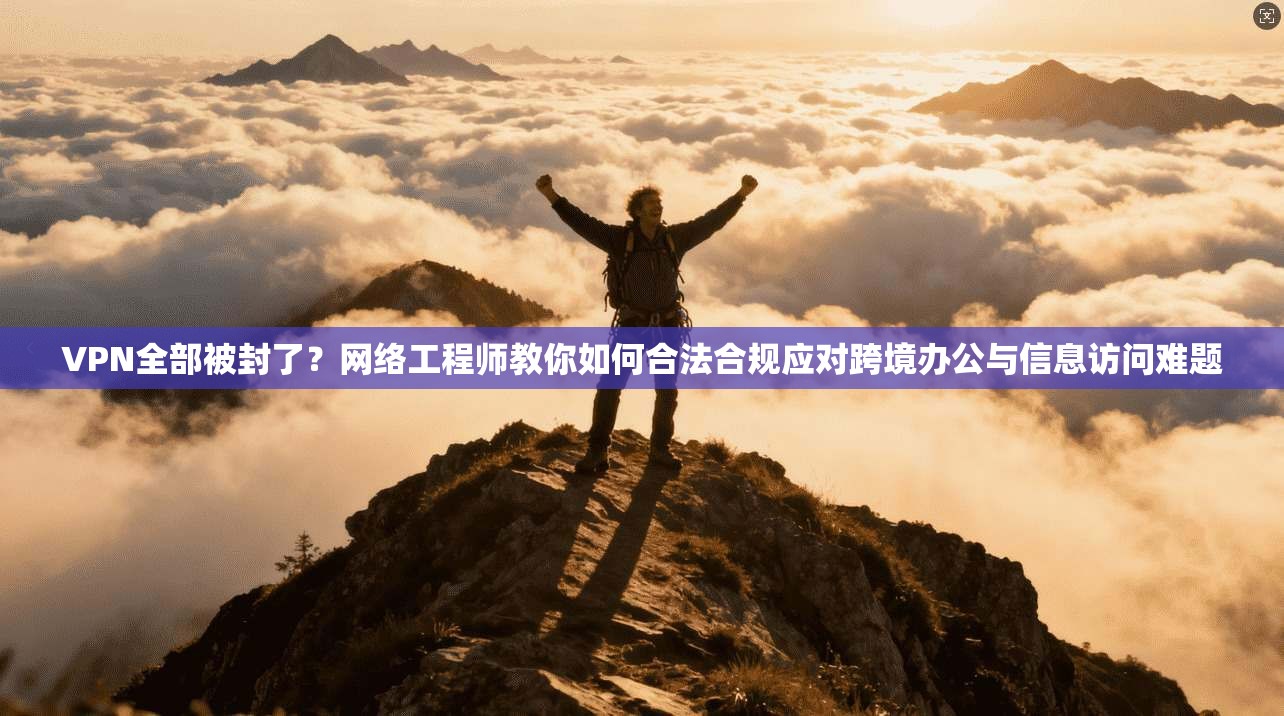 VPN全部被封了?网络工程师教你如何合法合规应对跨境办公与信息访问难题