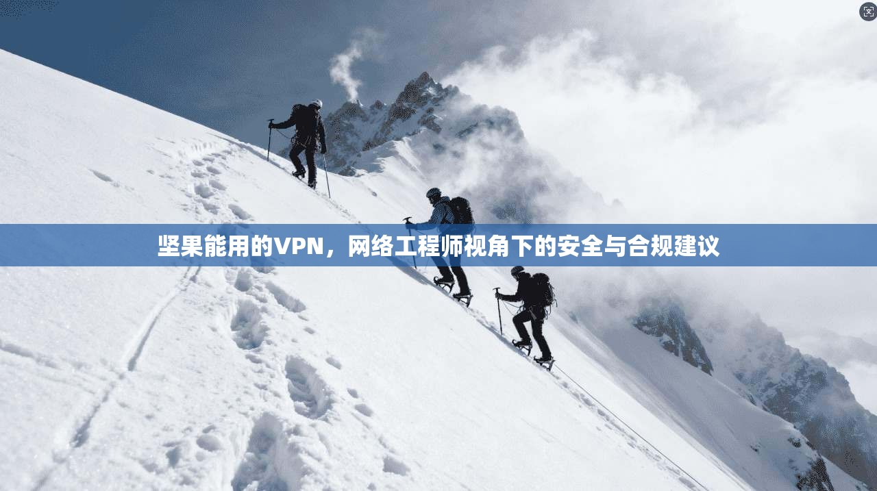 坚果能用的VPN,网络工程师视角下的安全与合规建议
