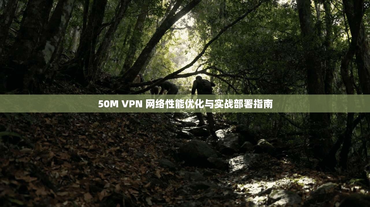 50M VPN 网络性能优化与实战部署指南