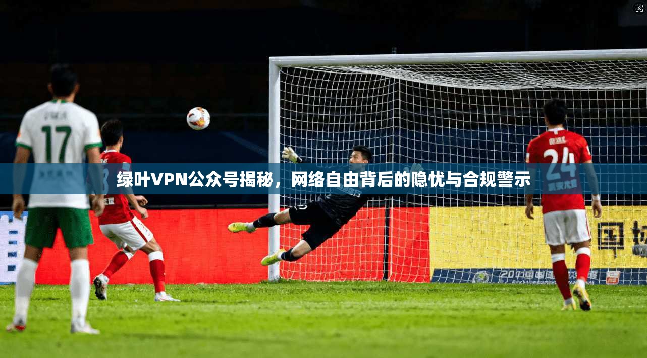 绿叶VPN公众号揭秘，网络自由背后的隐忧与合规警示