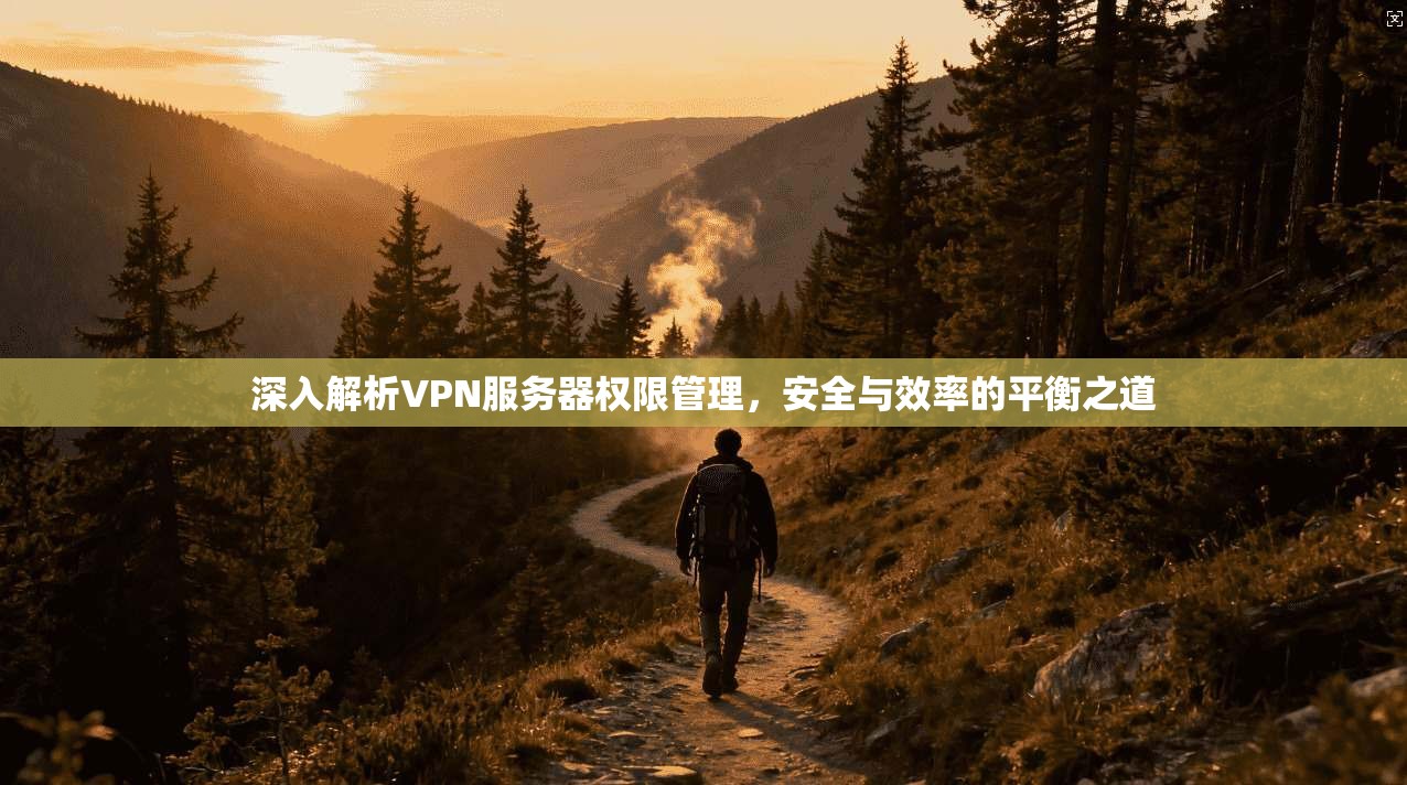 深入解析VPN服务器权限管理，安全与效率的平衡之道