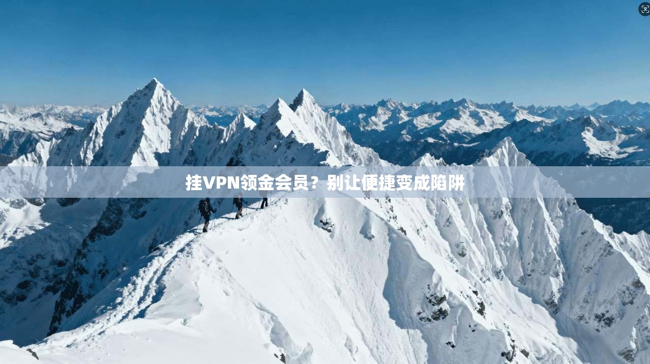 挂VPN领金会员?别让便捷变成陷阱