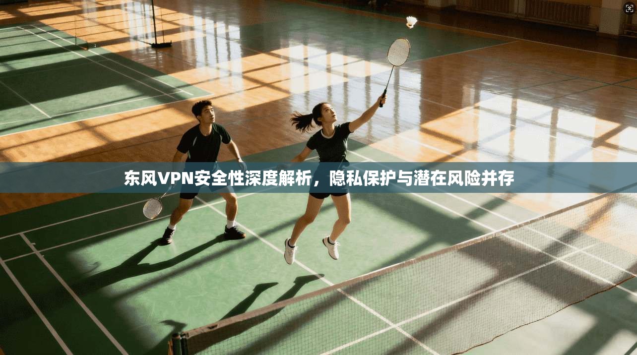 东风VPN安全性深度解析,隐私保护与潜在风险并存