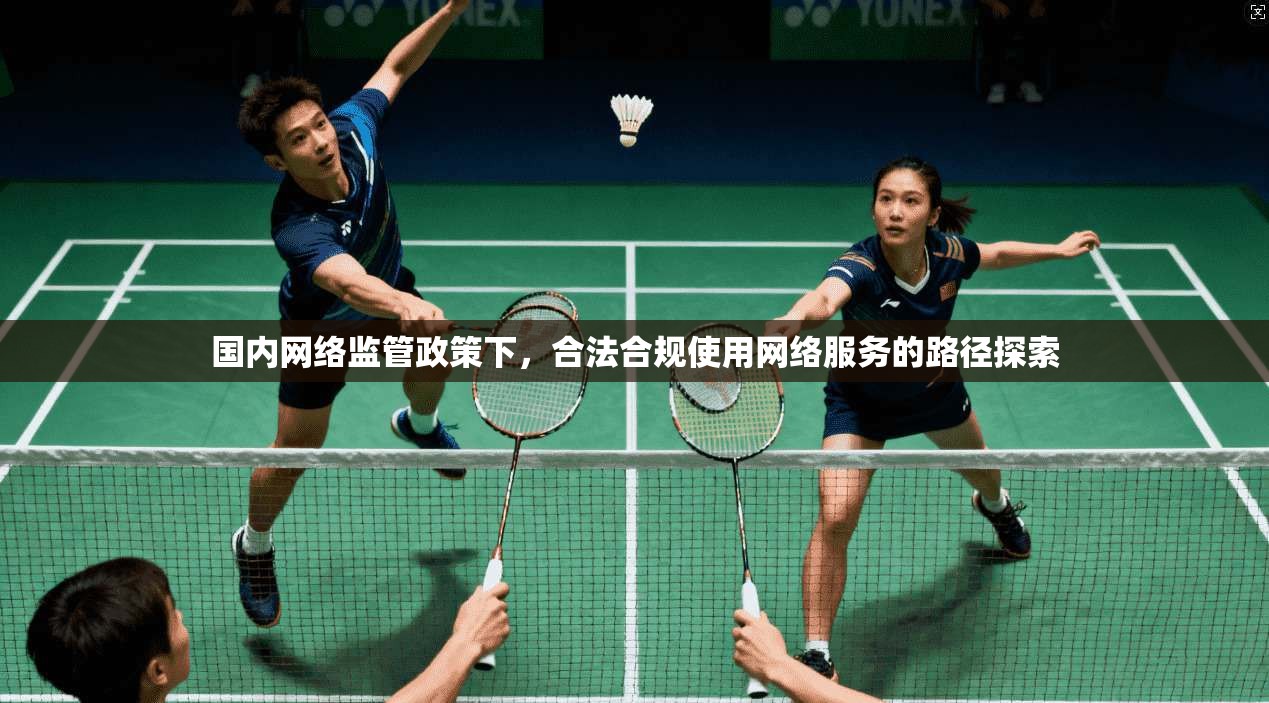 国内网络监管政策下，合法合规使用网络服务的路径探索  第1张
