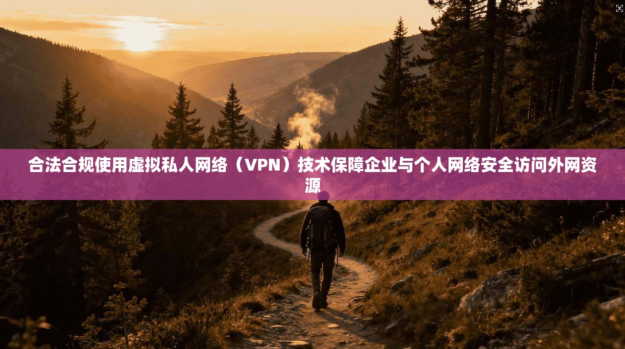 合法合规使用虚拟私人网络（VPN）技术保障企业与个人网络安全访问外网资源