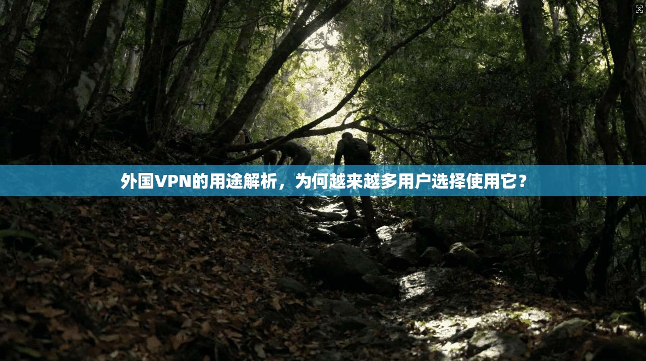 外国VPN的用途解析,为何越来越多用户选择使用它?