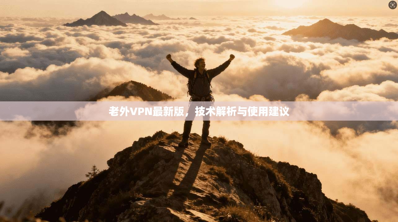 老外VPN最新版,技术解析与使用建议