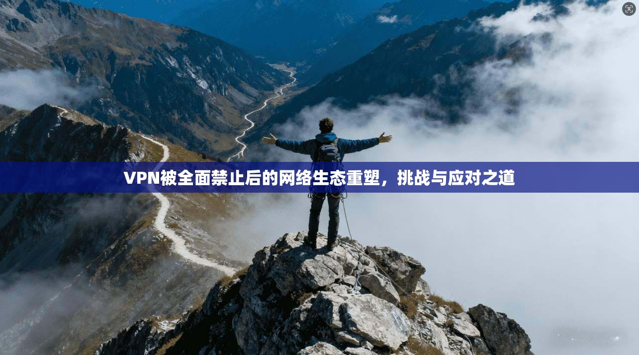 VPN被全面禁止后的网络生态重塑,挑战与应对之道