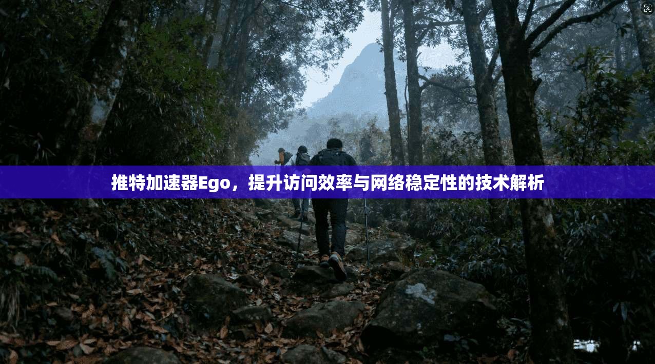 推特加速器Ego，提升访问效率与网络稳定性的技术解析