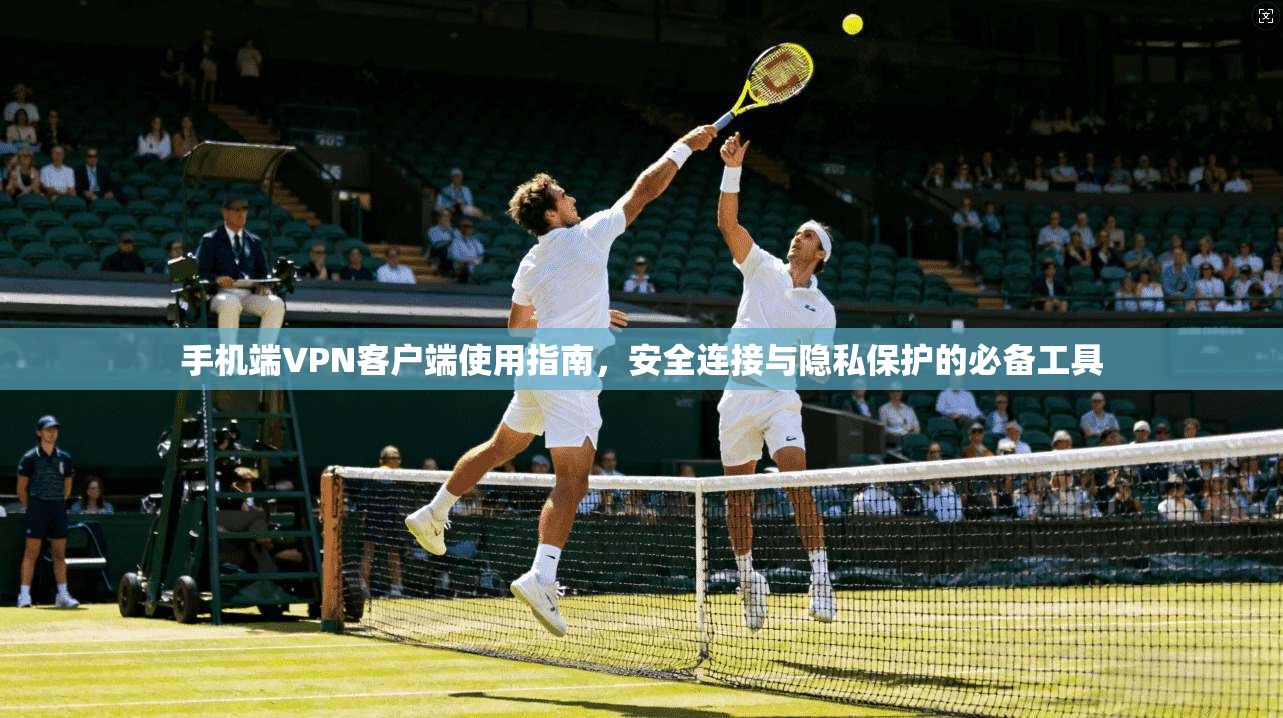 手机端VPN客户端使用指南，安全连接与隐私保护的必备工具