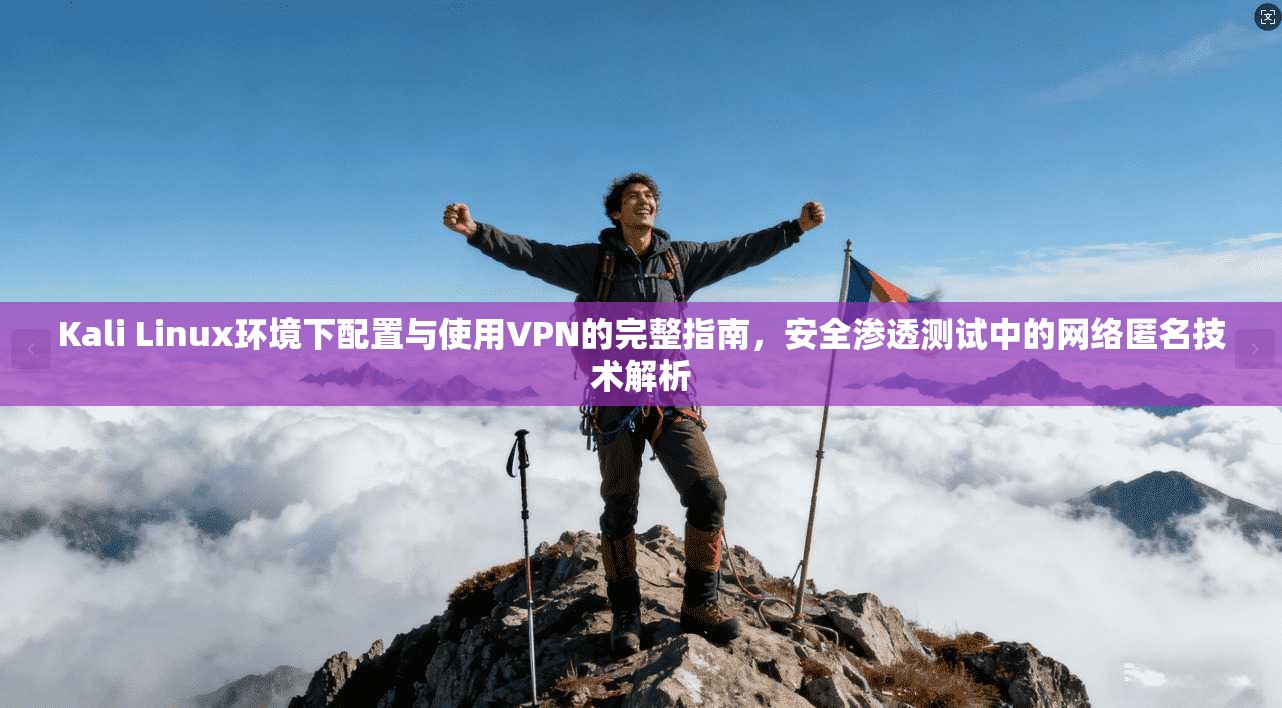 Kali Linux环境下配置与使用VPN的完整指南，安全渗透测试中的网络匿名技术解析