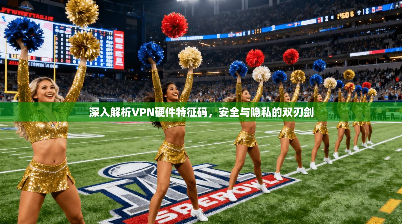 深入解析VPN硬件特征码，安全与隐私的双刃剑