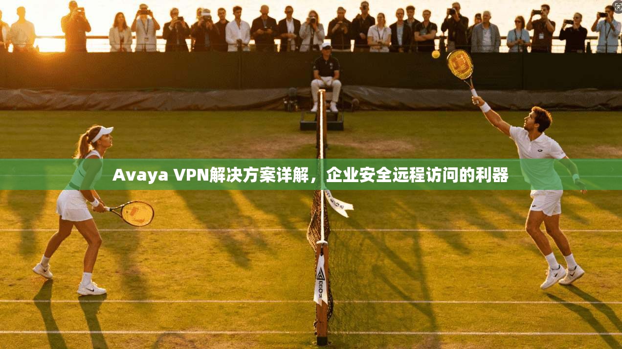 Avaya VPN解决方案详解,企业安全远程访问的利器