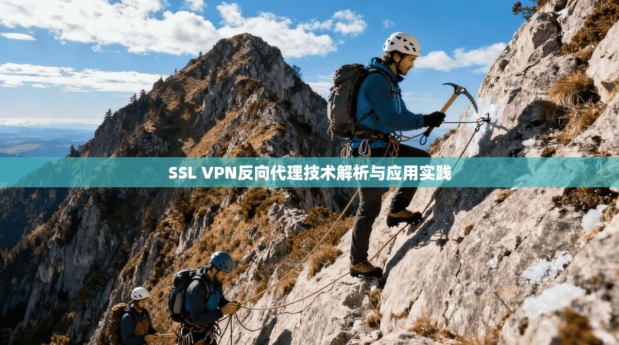 SSL VPN反向代理技术解析与应用实践