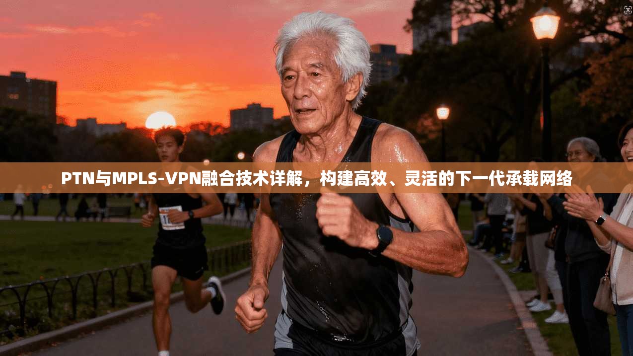 PTN与MPLS-VPN融合技术详解，构建高效、灵活的下一代承载网络
